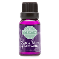 Costal Lime Driftwood