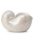 Nautilus