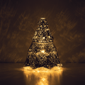 Light Up the Season