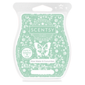 Aloe Water & Cucumber Scentsy Bar