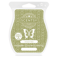 Amazon Rain Scentsy Bar