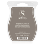 Scentsy Bar