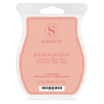 Scentsy Bar
