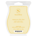 Scentsy Bar