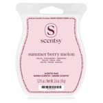 Scentsy Bar