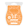 Autumn Road Trip Scentsy Bar