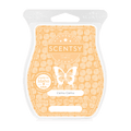 Camu Camu Scentsy Bar