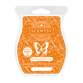Sparkling Spiced Citrus Scentsy Bar