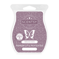 Welcome Home Scentsy Bar