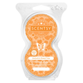 Autumn Road Trip Scentsy Pod Twin Pak