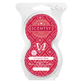 Cinnamon Bear Scentsy Pod Twin Pak