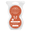First Day of Fall Scentsy Pod Twin Pak